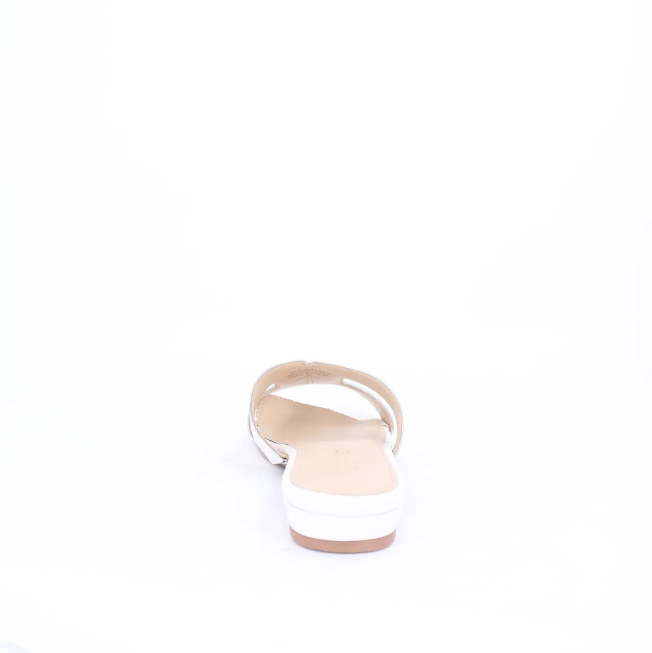 ELAYZA-Slides-flats-WHITE
