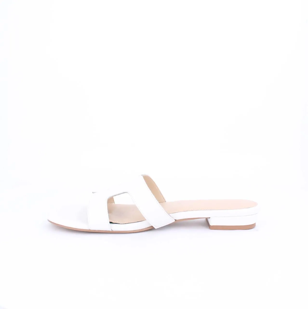 ELAYZA-Slides-flats-WHITE