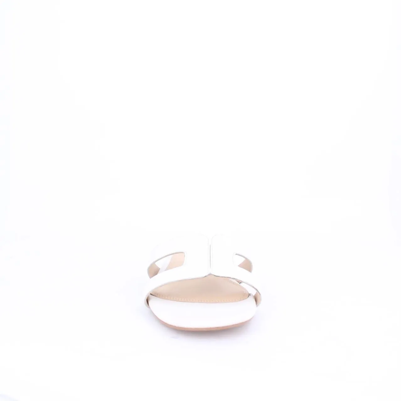 ELAYZA-Slides-flats-WHITE