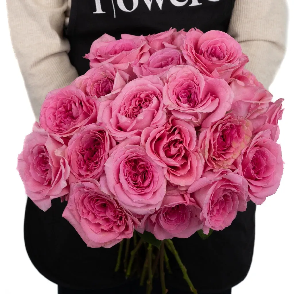 Pink Quartz Bulk Garden Rose